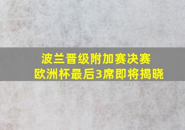 波兰晋级附加赛决赛 欧洲杯最后3席即将揭晓